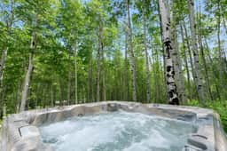 Aspen Grove