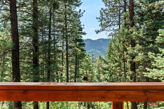 Peaceful Pines