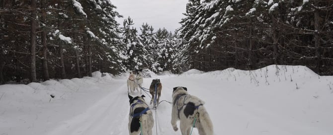 Four Durango Adventures You Have To Check Out