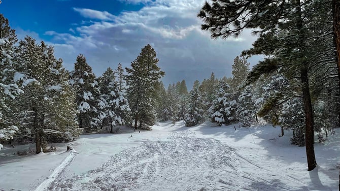 Top Winter Events In Durango