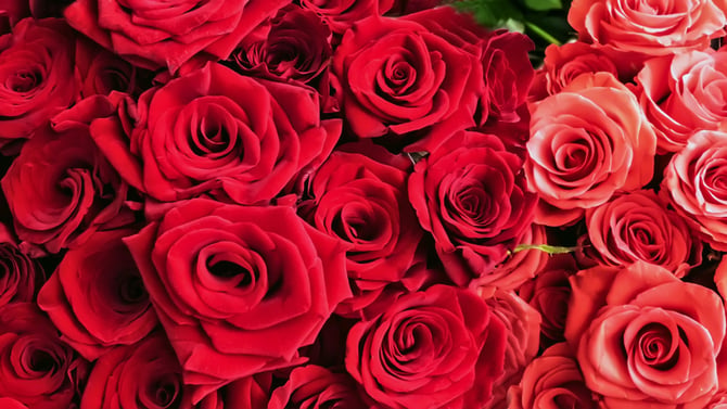 Plan A Valentine's Day Trip To Durango