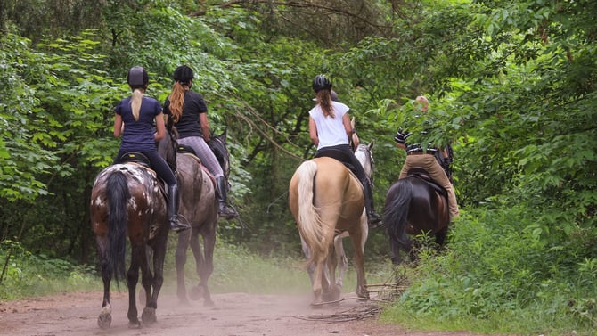 Some Of The Best Colorado Horseback Riding Is In Durango