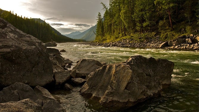 Visit The Animas River In Durango, CO