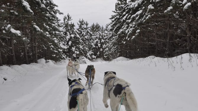 Four Durango Adventures You Have To Check Out