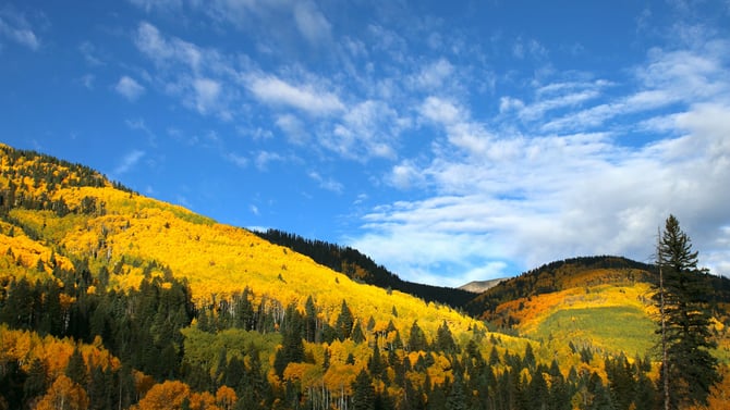 How To Plan The Perfect Fall In Durango