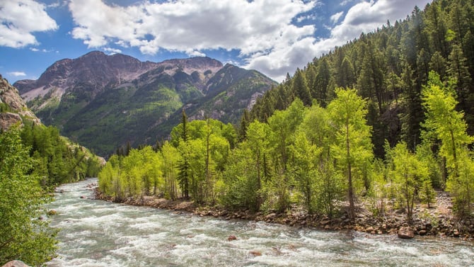 Explore The Animas River In Durango