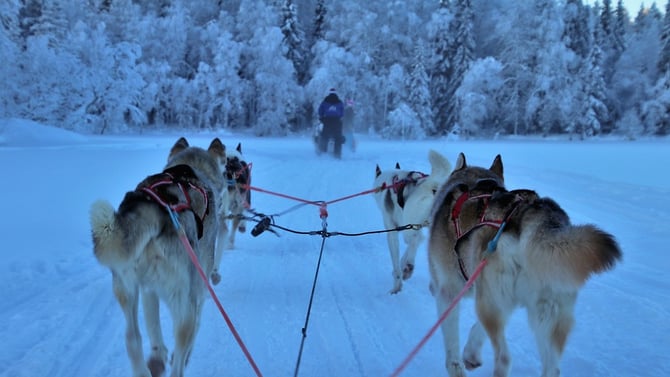 Top Winter Attractions In Durango, CO