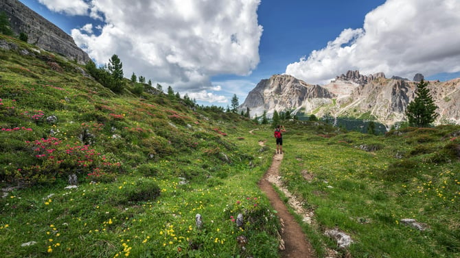 Don't Miss Our The Ultimate Guide To Hiking In Durango, CO