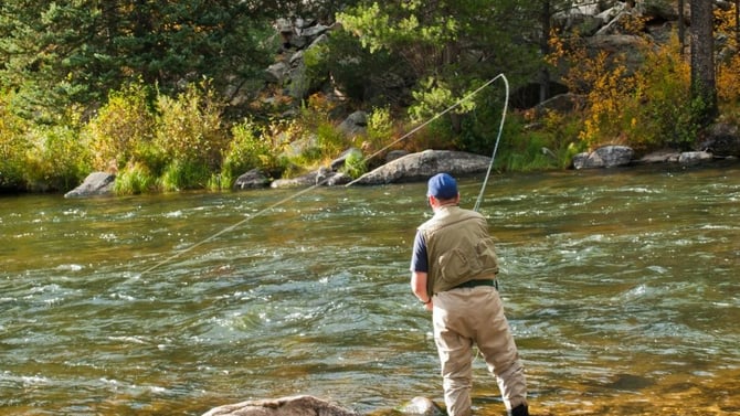 Things To Do At The San Juan National Forest