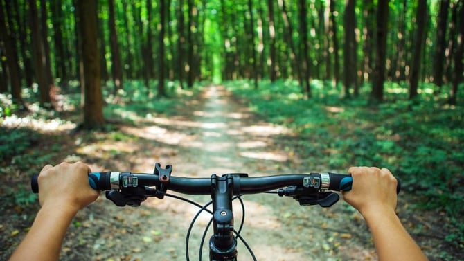 Why You Need To Go Colorado Sightseeing