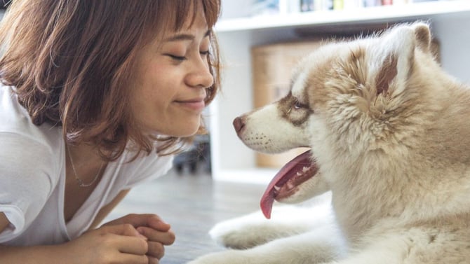 3 Reasons To Bring Your Dog On A Durango Vacation