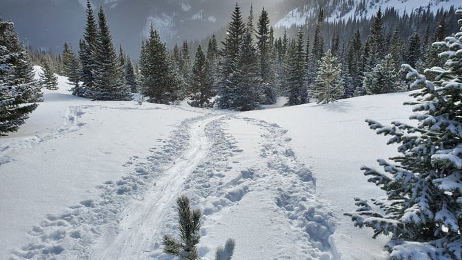 Reignite Your Passion For Winter On Book Direct Day!