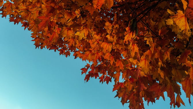 Enjoy These Fun Durango CO Things To Do In Fall