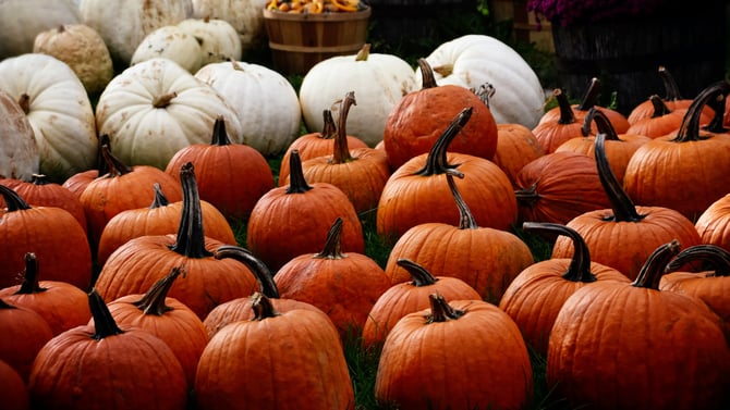 Check Out Fun Thanksgiving Activities In Durango CO