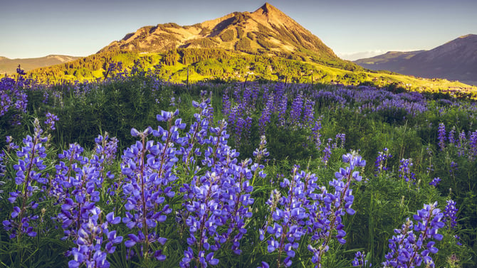Book Our Spring Break Rustic Cabins In Durango CO