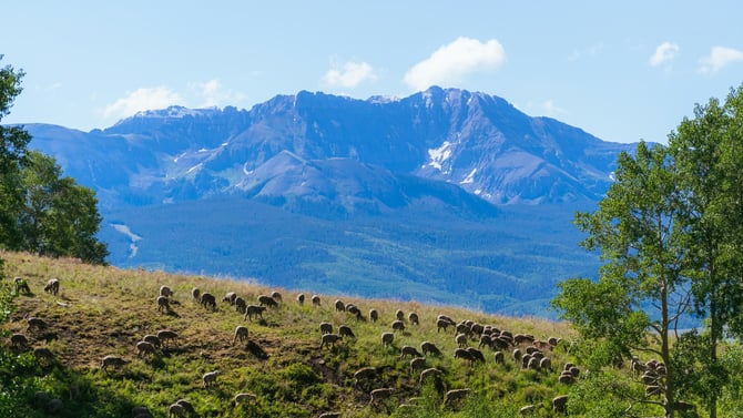 Book Our Last Minute Vacation Accommodations Of Durango