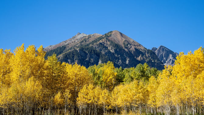 6 Bedroom Durango Vacation Home Rentals