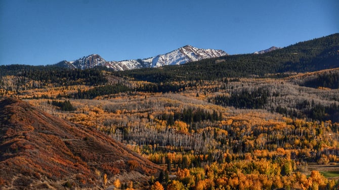 Browse Our Condos In Durango Colorado With BBQ Grill