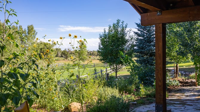 Book Our Durango Colorado Accommodations For Labor Day