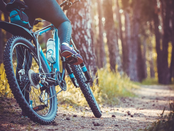 Mountain Bike Trails