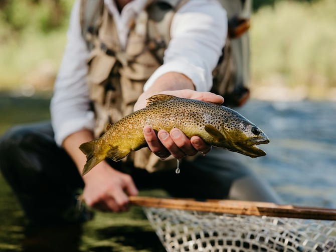 Fishing