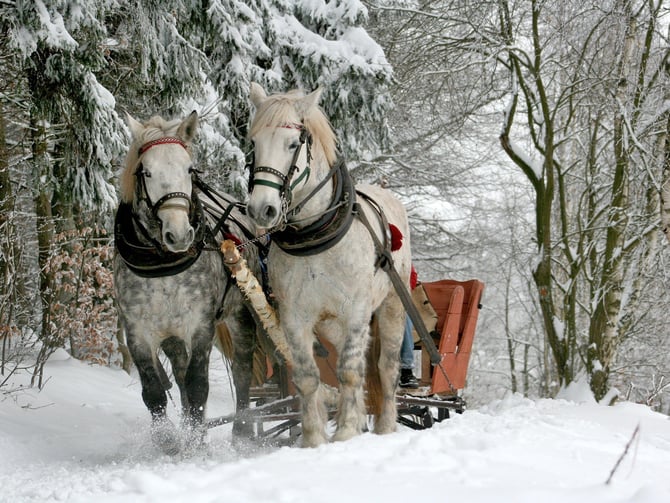 Why Visit Durango In Winter