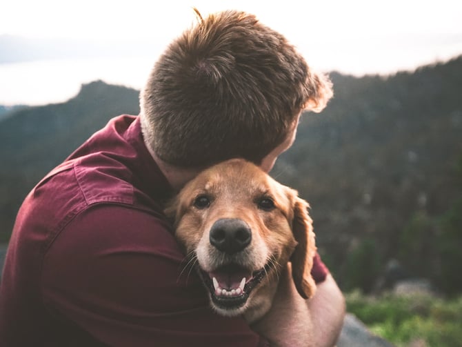 Dog friendly journey to Durango