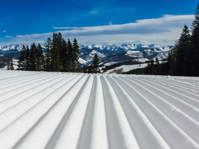 Winter Activities