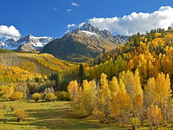 Fall Activities